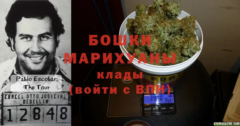 Шишки марихуана OG Kush  Багратионовск 